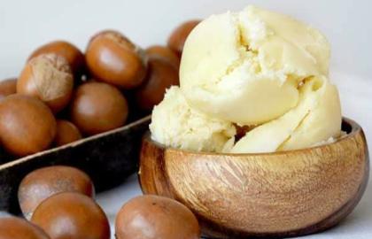 🌍 The Untapped Goldmine: How Africa’s Shea Butter is Quietly Conquering the Global Beauty Industry